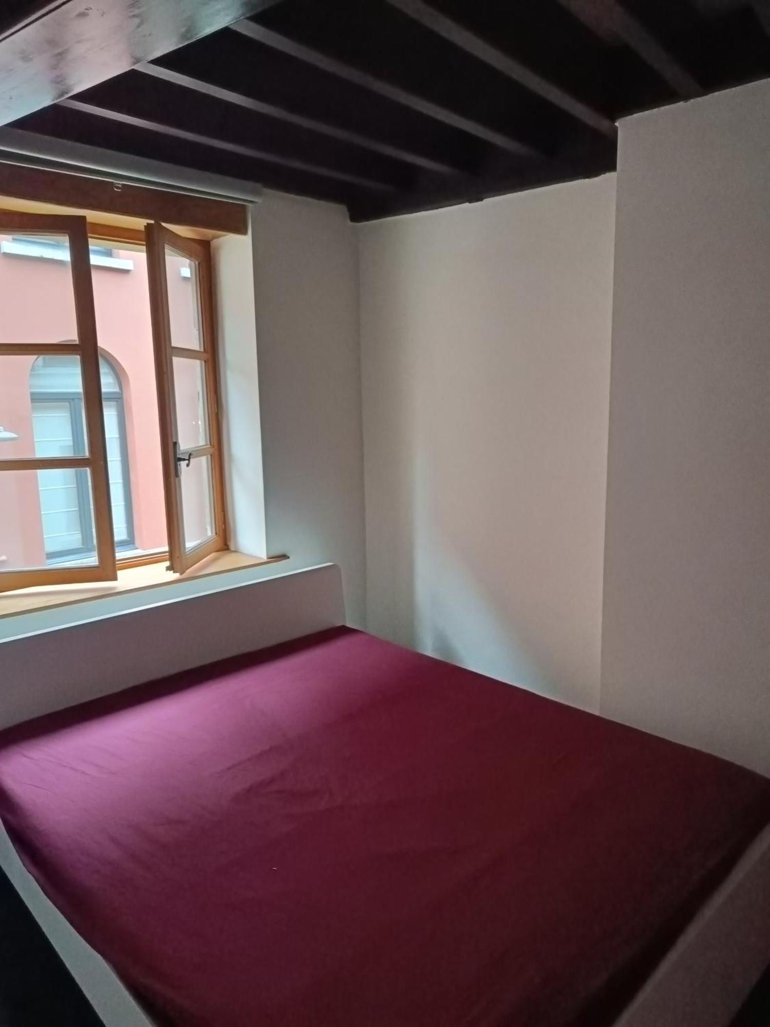 Viktoria Hostel 安特卫普 外观 照片